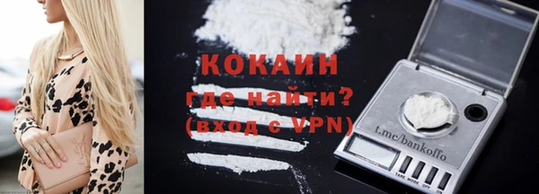 прущие грибы Краснослободск