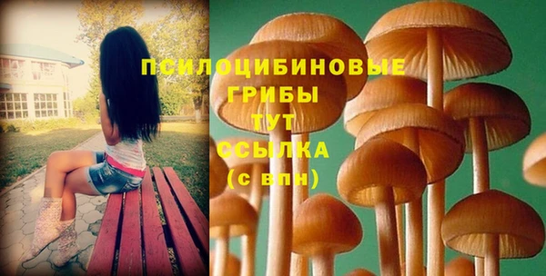 прущие грибы Краснослободск