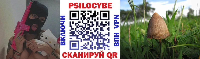 Купить закладки  Бирск  Псилоцибиновые грибы прущие грибы 